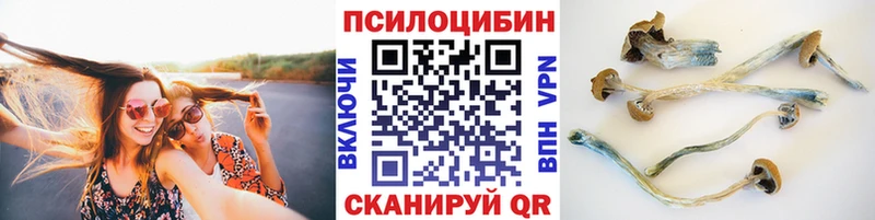 Псилоцибиновые грибы GOLDEN TEACHER  Ахтырский 